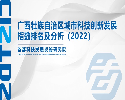 啊啊啊啊啊逼逼【成果发布】广西壮族自治区城市科技创新发展指数排名及分析（2022）